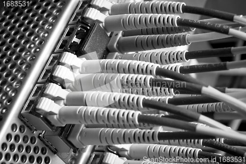 Image of network cables