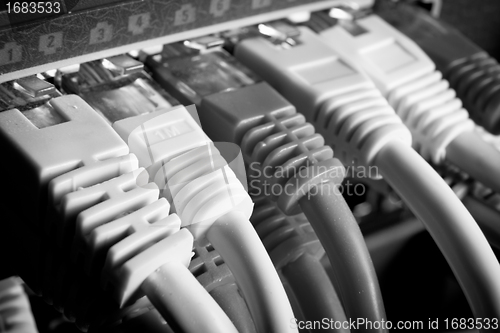 Image of network cables