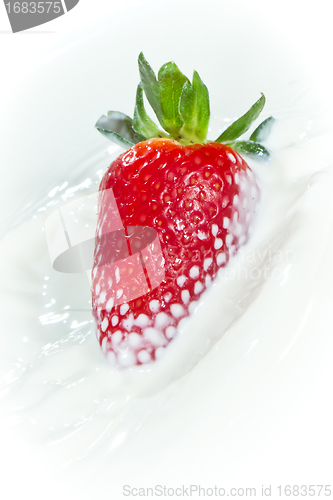 Image of strawberry splashing into milk