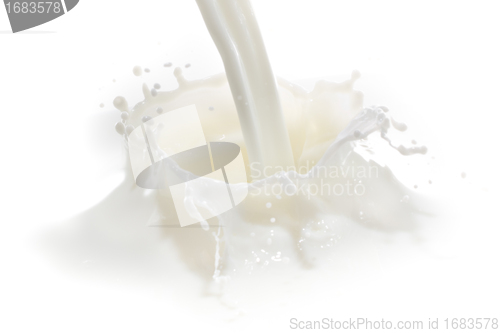 Image of milk splash