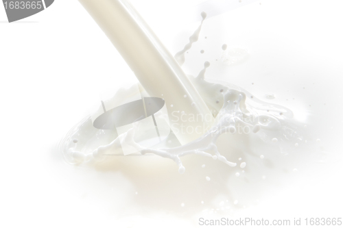 Image of milk splash