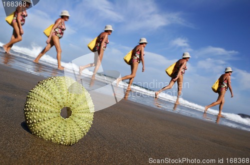 Image of Beach Walker