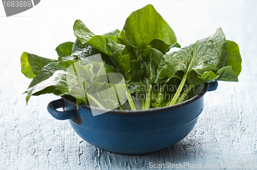 Image of Spinach