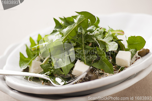 Image of Dandelion salad