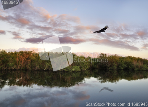 Image of Sunset On The River