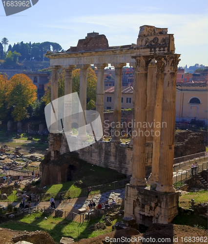 Image of The Forum, Rome