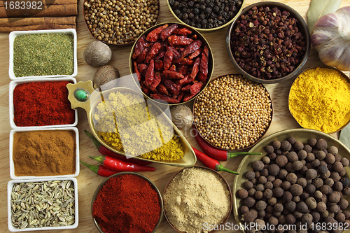 Image of Spices and herbs