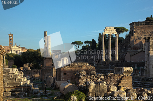 Image of The Forum, Rome