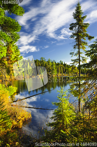 Image of Forest and sky reflecting in lake