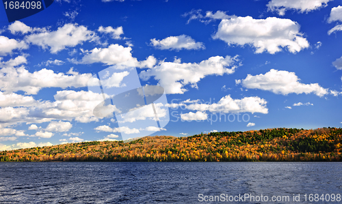 Image of Fall forest and lake