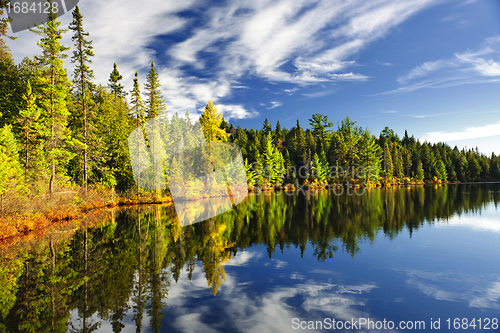 Image of Forest reflecting in lake