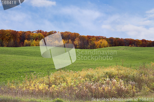 Image of Autumn Field