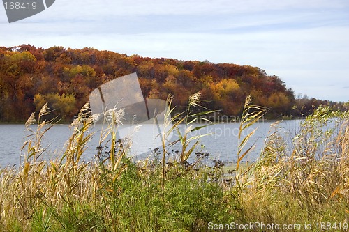 Image of Autumn Lake