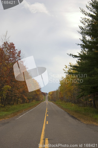 Image of Autumn Road
