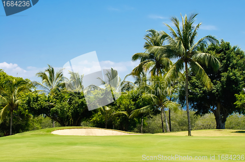 Image of Golf Course