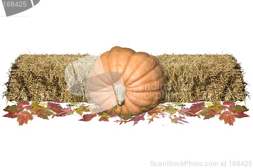 Image of Harvest Decore
