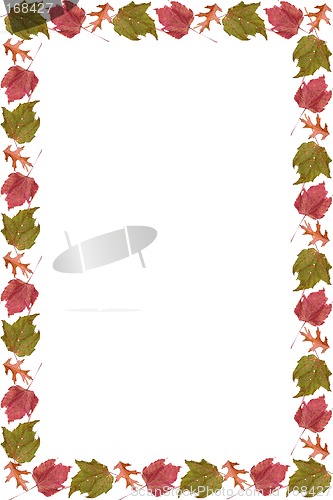 Image of Leaf Frame