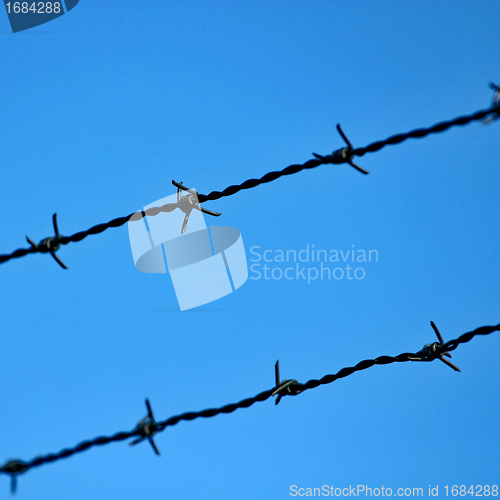 Image of razor wire 