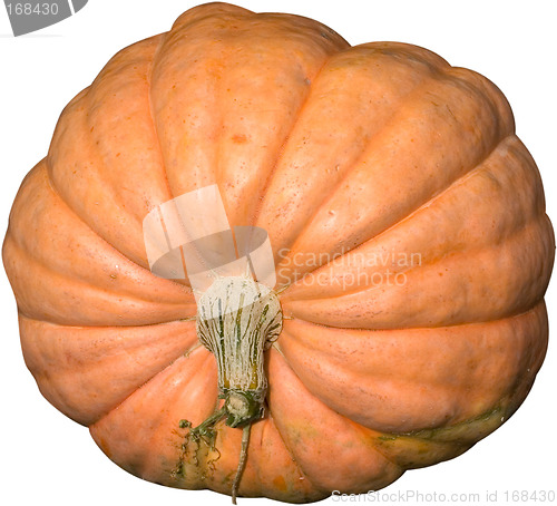 Image of Pumpkin time