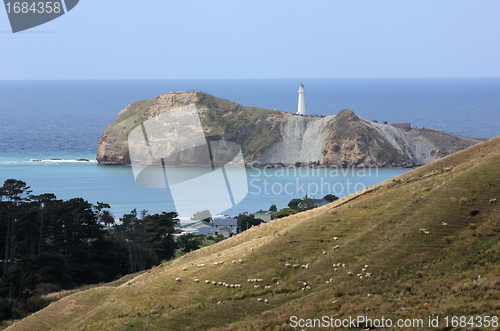 Image of Castlepoint, New Zealand.