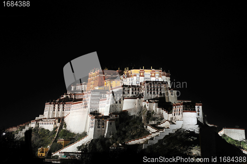 Image of Night scenes of Potala Palace in Tibet