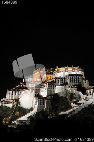 Image of Night scenes of Potala Palace in Tibet