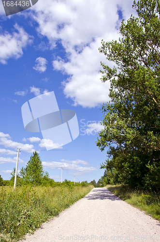 Image of rural gravel road between meadow and forest 