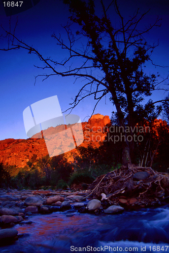 Image of sunset on redrocks and tree silhouette