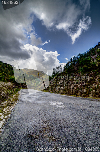 Image of Asphalt road