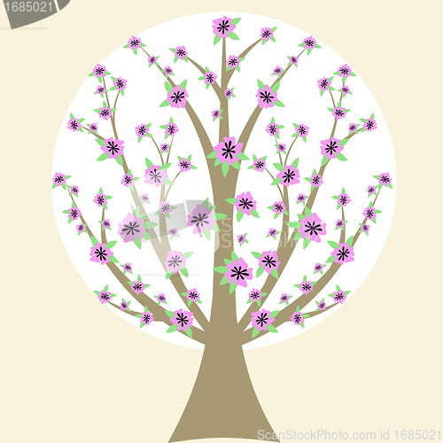 Image of Cherry Blossom Tree
