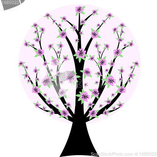 Image of Cherry Blossom Tree
