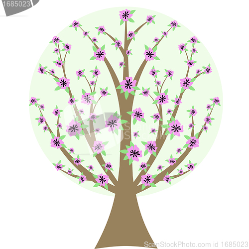 Image of Cherry Blossom Tree