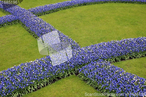 Image of blue floral lines