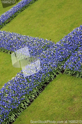 Image of blue floral lines