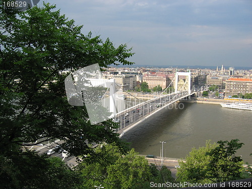 Image of Elizabeth bridge - Budapest