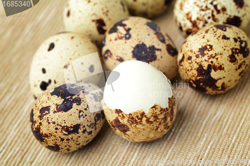 Image of quail eggs