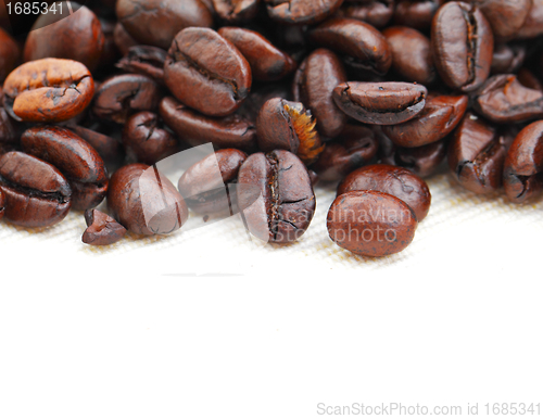 Image of coffee bean
