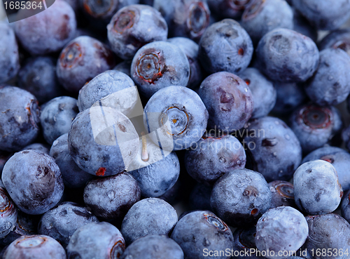 Image of blueberry