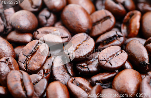 Image of coffee bean close up