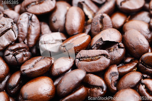 Image of coffee bean