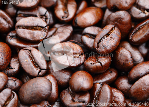 Image of coffee bean close up