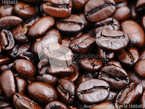 Image of coffee bean closeup