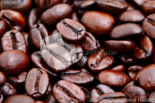 Image of coffee bean