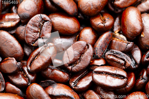 Image of coffee bean