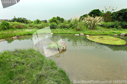 Image of Wetland