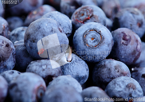 Image of blueberry