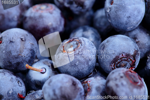 Image of blueberry