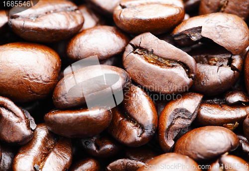 Image of coffee bean