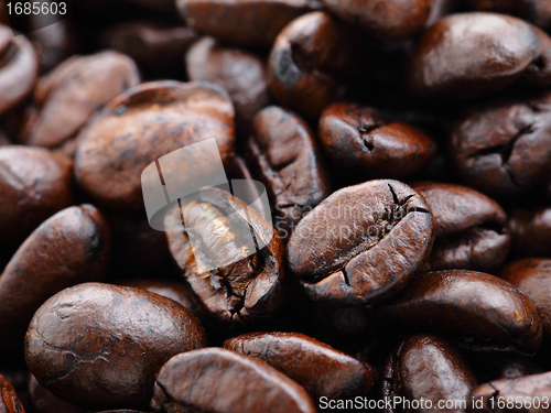 Image of roasted coffee bean