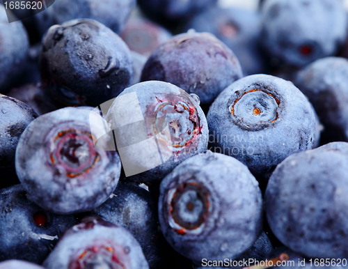 Image of blueberry